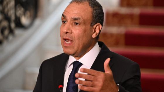 بدر عبدالعاطي وزير الخارجية المصري