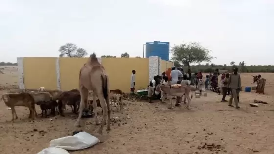 صورة أرشيفية