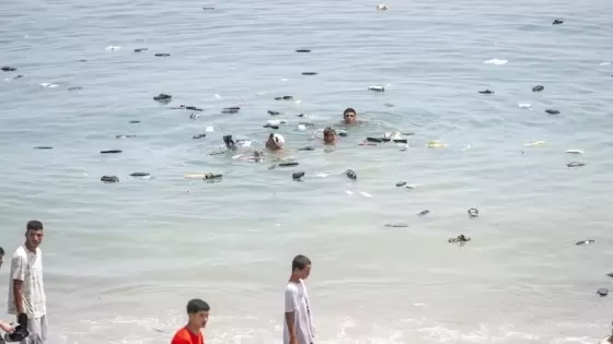 صورة أرشيفية