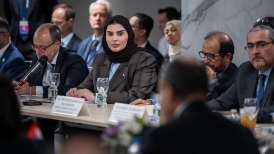 جانب من مشاركة سعادة وزير الدولة للتعاون الدولي في المائدة المستديرة