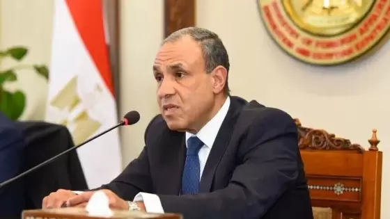 وزير الخارجية المصري بدر عبد العاطي