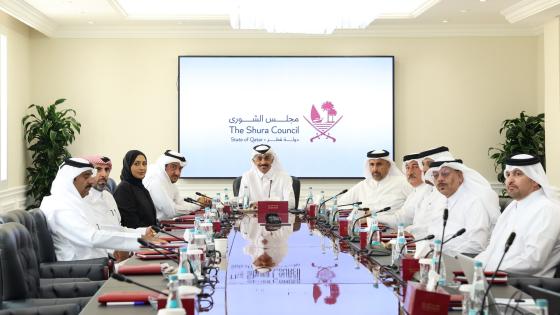 جانب من اجتماعات لجان مجلس الشورى