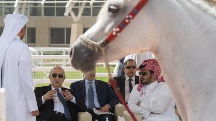 WhatsApp Image 2022-02-21 at 5.35.44 PM.jpeg