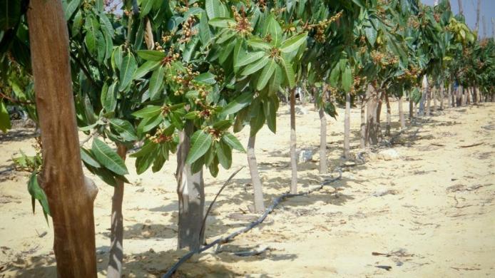 WhatsApp Image 2022-05-22 at 2.10.06 PM.jpeg