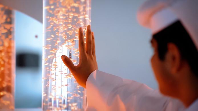 WhatsApp Image 2022-10-26 at 2.12.11 PM.jpeg