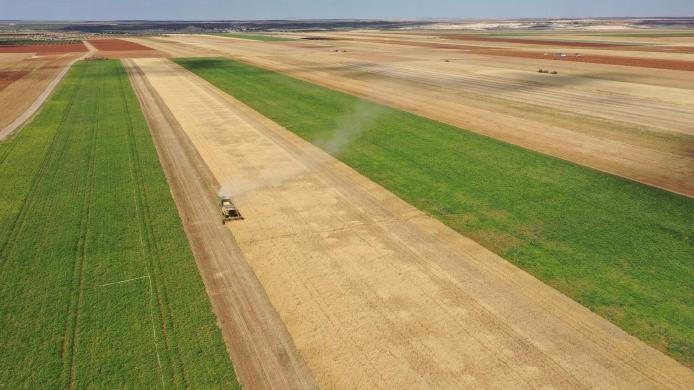 WhatsApp Image 2022-10-16 at 10.15.43 PM.jpeg