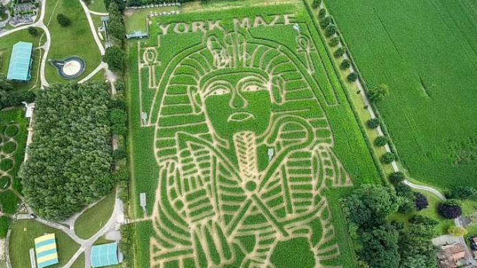 73230935-12300021-image-a-19_1689358326316