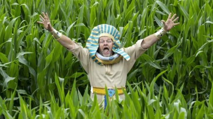 25e900a2-424d-437f-8a60-3eed2245ffa6