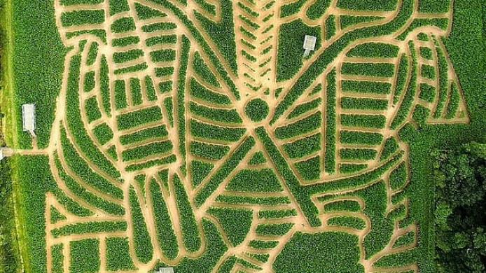 73230913-12300021-image-a-18_1689358320832