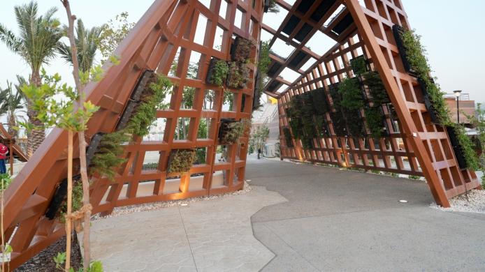 F8VE6T8XAAAN3Jt.jfif