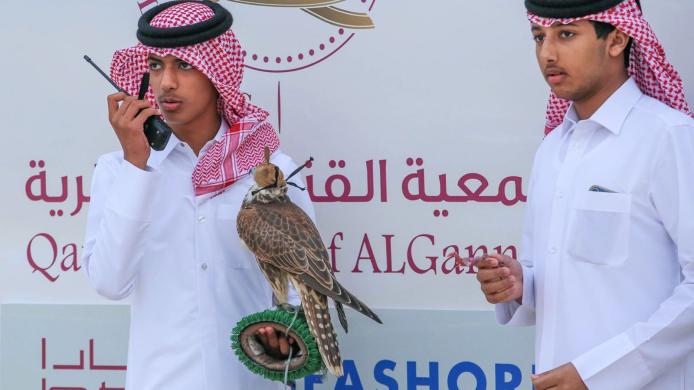 F-luG9gWMAAtffX.jfif