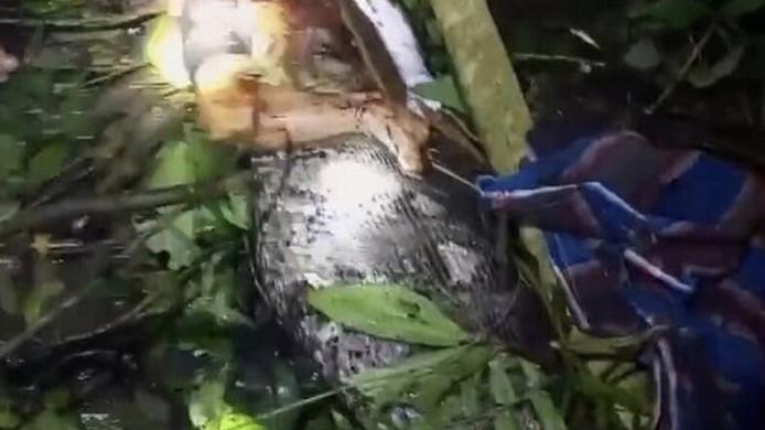 674803ed42360468335a7c49