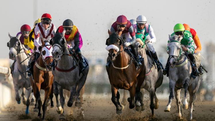 جانب من سباق كأس الديبل للخيل المهجنة الأصيلة إنتاج محلي