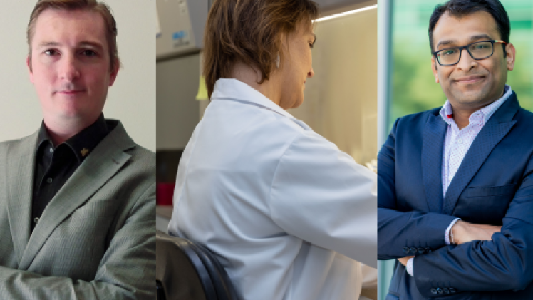 الأطباء والأكاديميين أعضاء فريق الدراسة العلمية