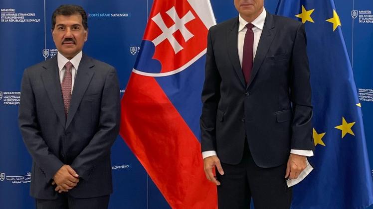 الأمين العام لوزارة الخارجيةخلال اجتماعه مع وزير خارجية سلوفاكيا