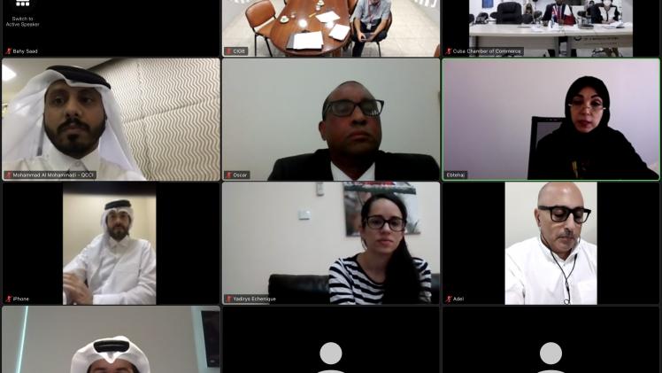 جانب من اللقاء الذي عقد عبر الاتصال المرئي