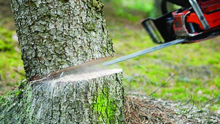 صورة (تعبيرية)