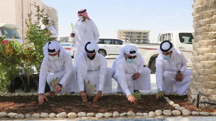 خلال المشاركة في حملة التشجير