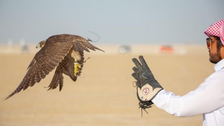 من فعاليات البطولة