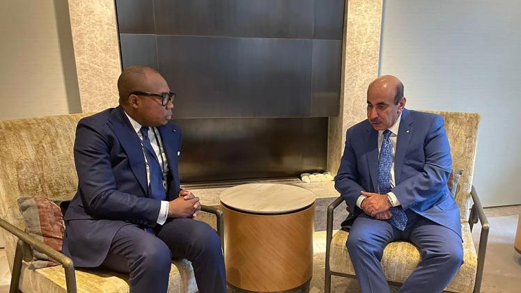 جانب من الاجتماع مع وزير الاقتصاد البحري في توغو