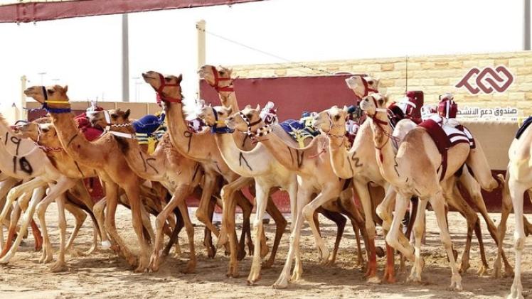 جانب من السباقات