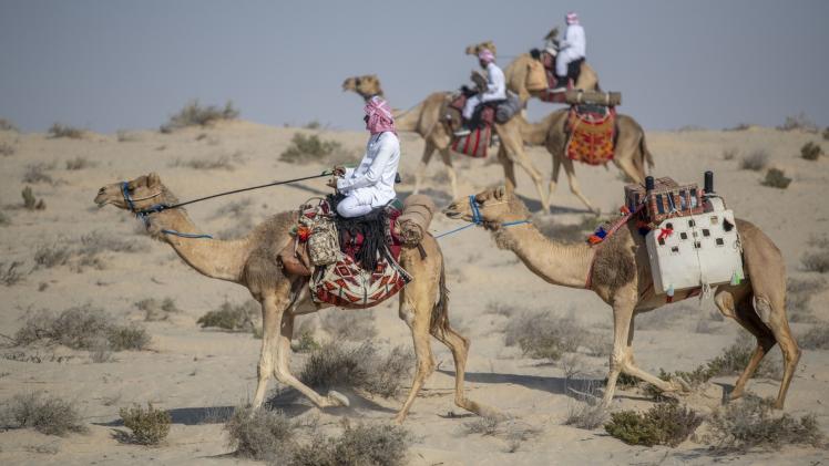 جانب من المنافسات
