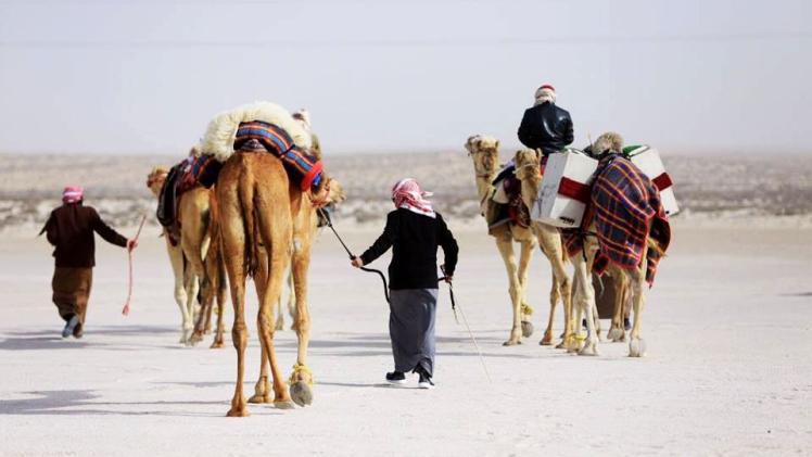 أرشيفية