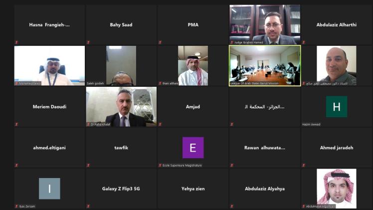جانب من الندوة الافتراضية