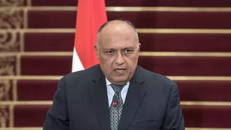 سامح شكري وزير الخارجية المصري