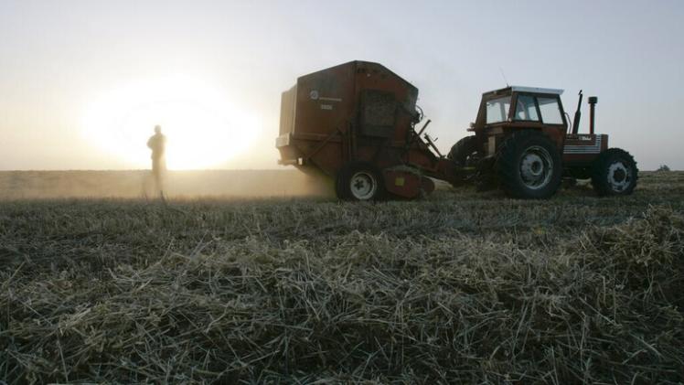 صورة أرشيفية