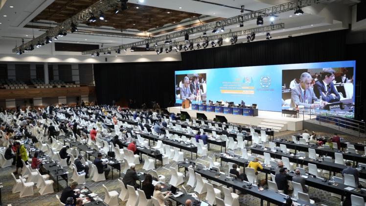 جانب من الجلسة