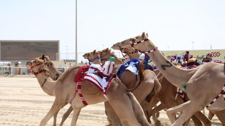 جانب من السباقات