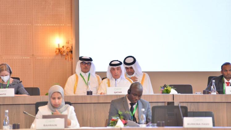الوفد القطري المشارك
