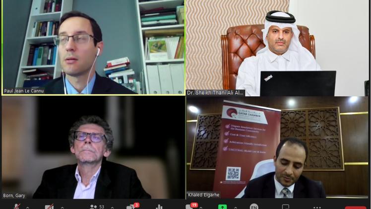 جانب من الندوة الافتراضية