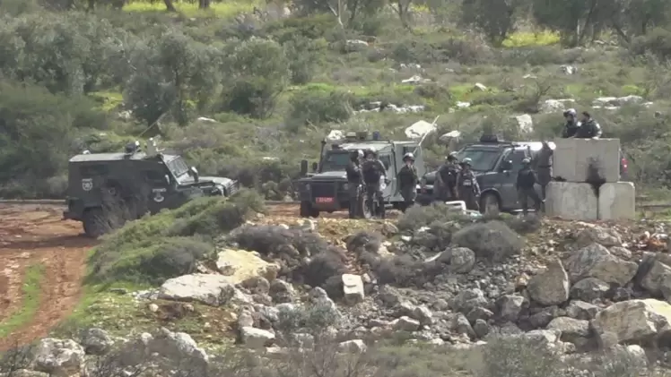 صورة أرشيفية