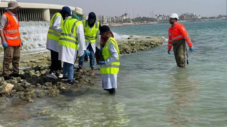 جانب من التدريب