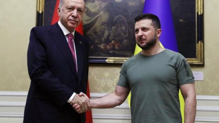 أردوغان وزيلينسكي