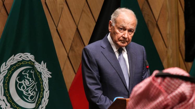 أمين عام جامعة الدول العربية أحمد أبو الغيط