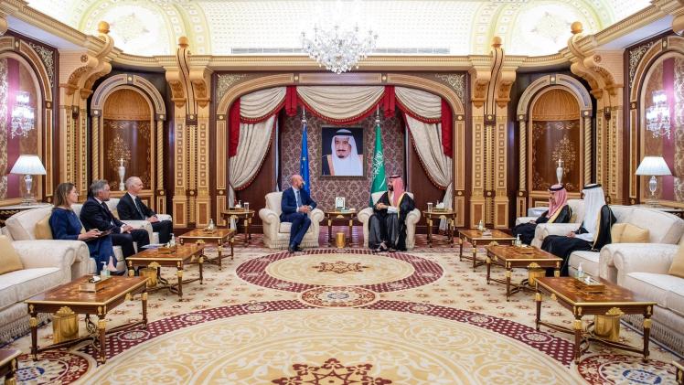 جانب من اللقاء