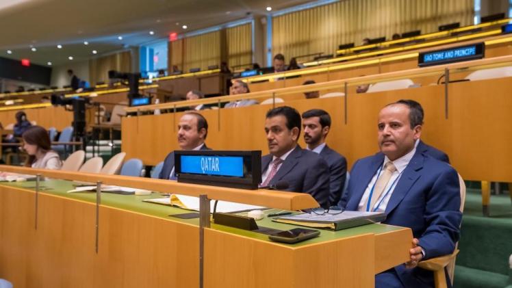 جانب من مشاركة الوفد القطري