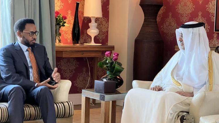 جانب من اللقاء