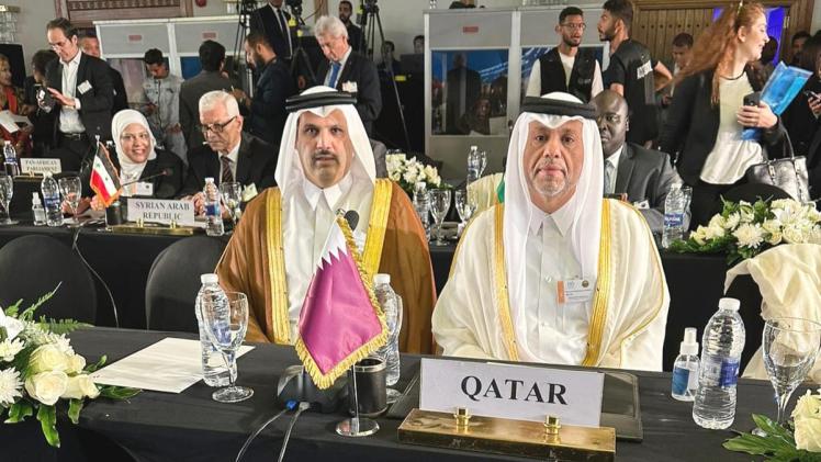 الوفد القطري المشارك في المؤتمر