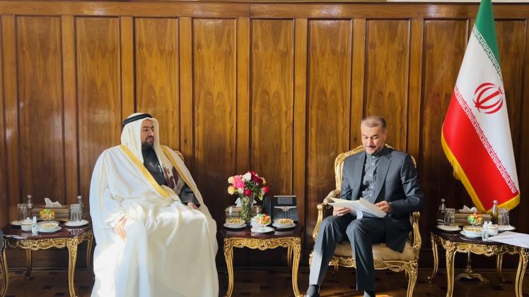 مساعد وزير الخارجية للشؤون الإقليمية خلال تسليم الرسالة لوزير الخارجية الإيراني