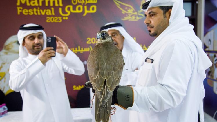 جانب من عملية التسجيل في البطولات