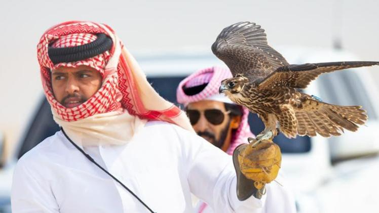 جانب من المنافسات