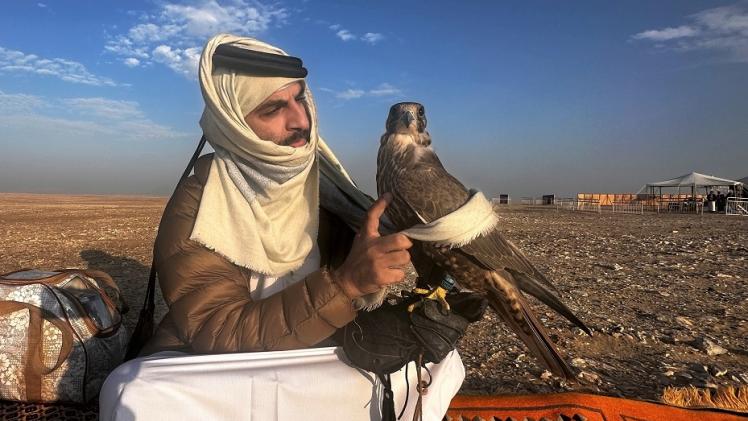 جانب من فعاليات المهرجان