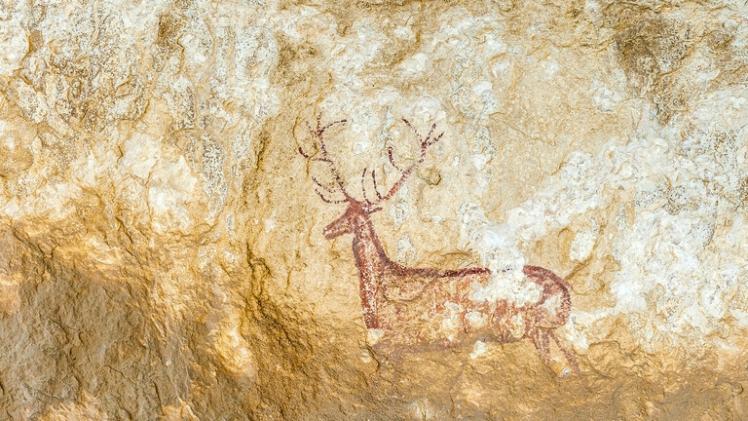 صورة أرشيفية