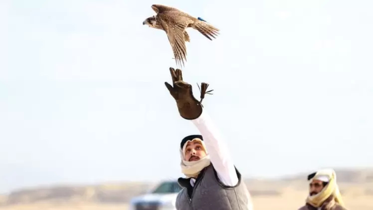 جانب من المنافسات