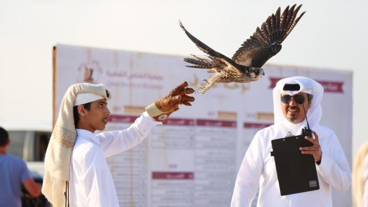 جانب من منافسات البطولة