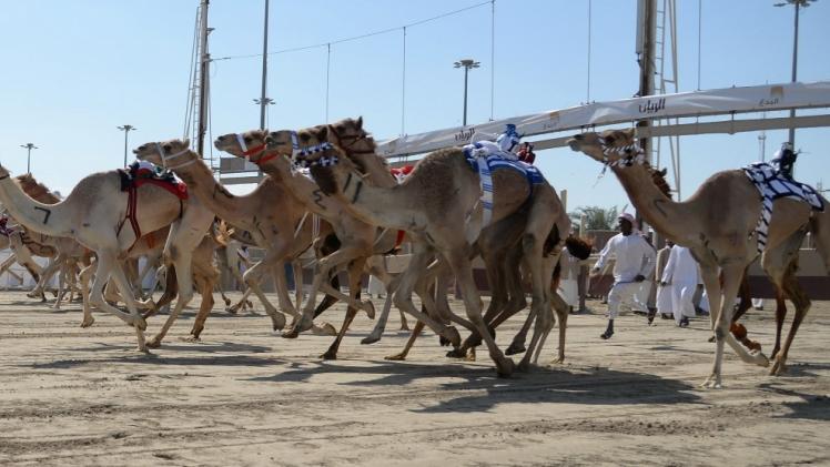 صورة أرشيفية